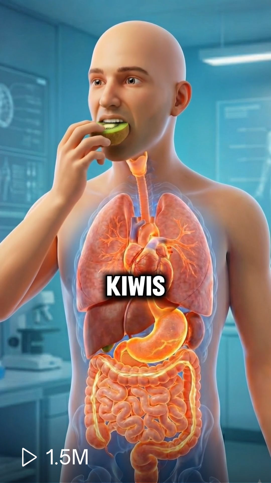 Gut health deep dive